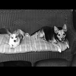 Mahalo for shopping my closet!